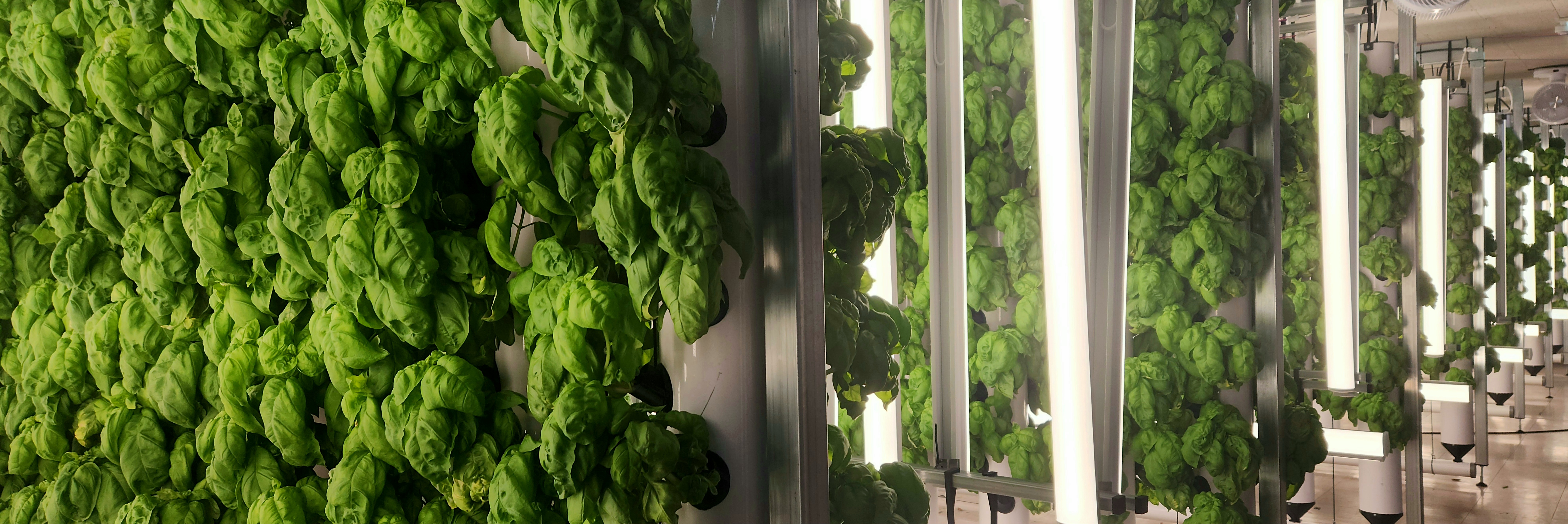 퓨쳐필드 수직농장 이미지